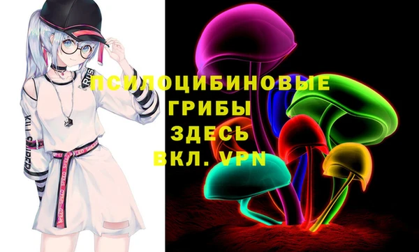 эйфоретик Пересвет
