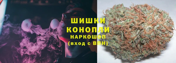 эйфоретик Пересвет
