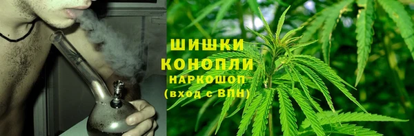 эйфоретик Пересвет