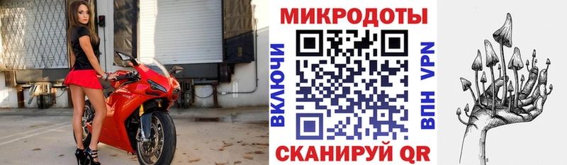 Галлюциногенные грибы Cubensis Строитель