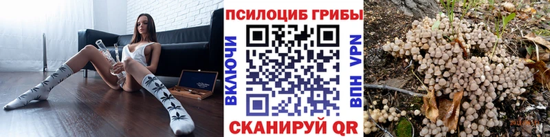 Галлюциногенные грибы прущие грибы  где найти наркотики  Строитель 